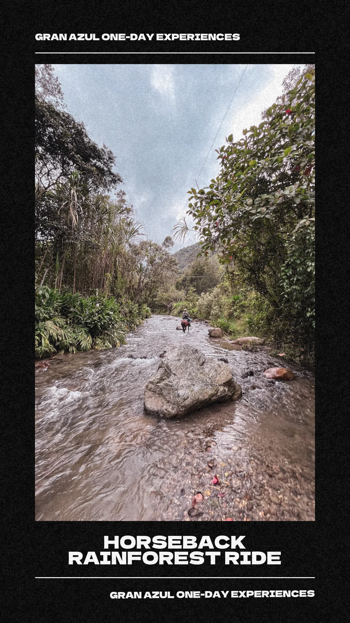 Experiencia a caballo por la selva